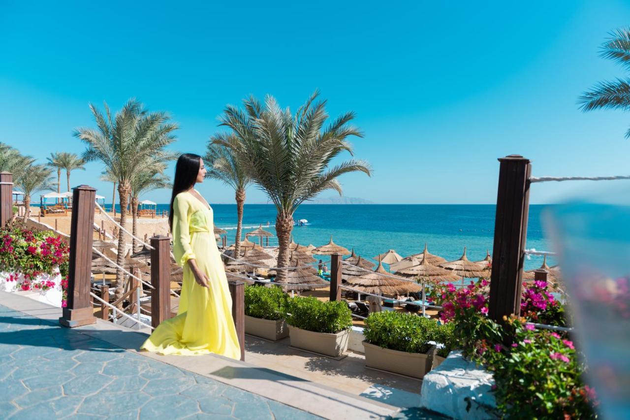 שארם א-שייח Sunrise Montemare Resort -Grand Select (Adults Only) מראה חיצוני תמונה The Red Sea coast